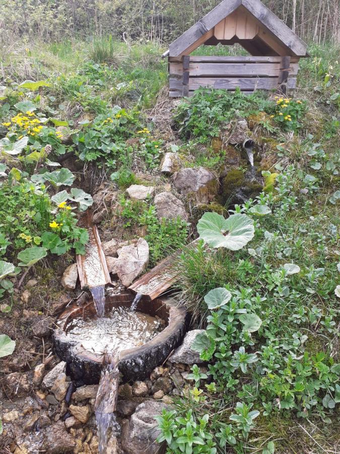 Rekreacny Dom Tyrkys Poprad Exterior foto